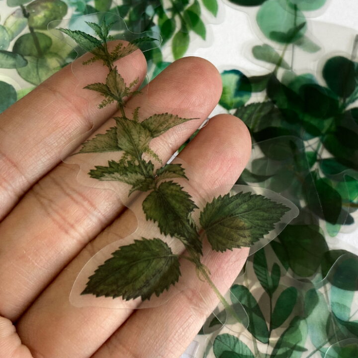 楽天市場】【1パック】フレークシール 植物 葉っぱ つる 40枚 ステッカー / 資材 素材 アクセサリー パーツ 材料 ハンドメイド 卸 問屋 手芸 : Craft Tamago(クラフトタマゴ) 楽天市場】【1パック】フレークシール 植物 葉っぱ つる 40枚 ステッカー / 資材 素材 アクセサリー パーツ 材料 ハンドメイド 卸 問屋 手芸 : Craft Tamago(クラフトタマゴ)