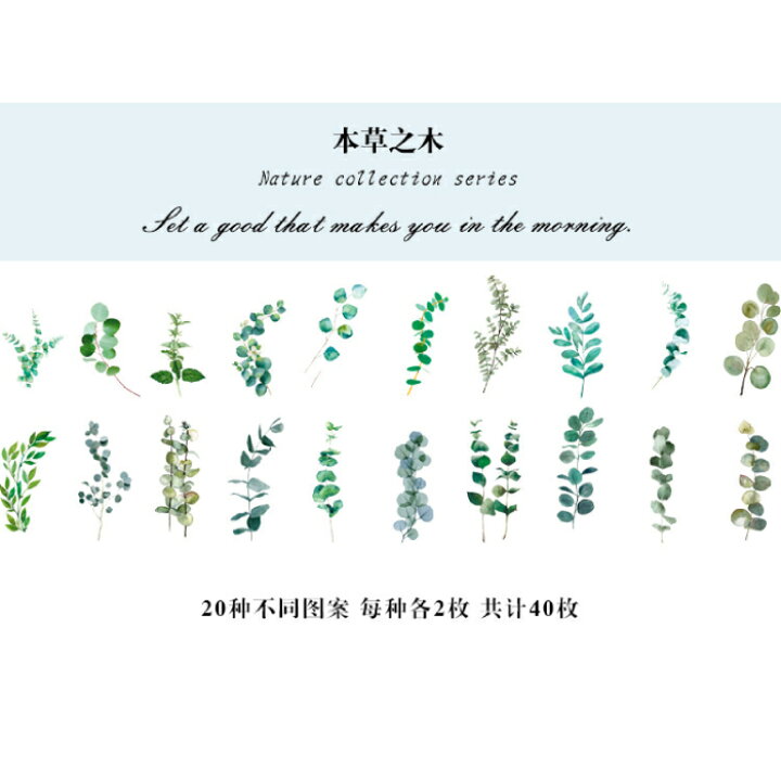 楽天市場】【1パック】フレークシール 植物 葉っぱ つる 40枚 ステッカー / 資材 素材 アクセサリー パーツ 材料 ハンドメイド 卸 問屋 手芸 : Craft Tamago(クラフトタマゴ) 楽天市場】【1パック】フレークシール 植物 葉っぱ つる 40枚 ステッカー / 資材 素材 アクセサリー パーツ 材料 ハンドメイド 卸 問屋 手芸 : Craft Tamago(クラフトタマゴ)