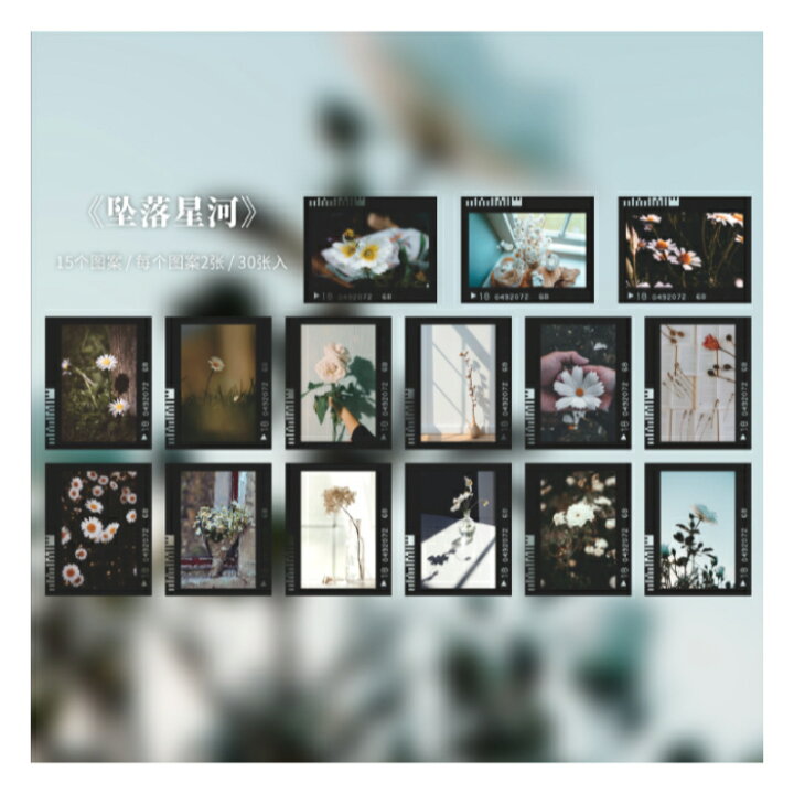 楽天市場 1パック シール 15柄30枚入 フィルム風 ホワイト系 レトロ ネガ 植物 アンティーク 資材 素材 アクセサリー パーツ 材料 ハンドメイド 卸 問屋 手芸 Craft Tamago クラフトタマゴ