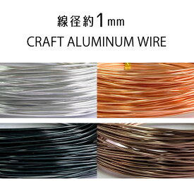 楽天市場 ワイヤークラフト アクセサリーの通販