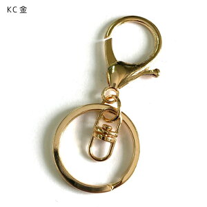 L[z_[ p[c iXJEdOE]Jt S5F 68mm 10  f ANZT[ p[c r6-rs