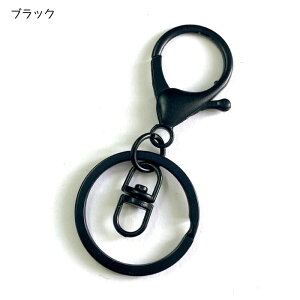 L[z_[ p[c iXJEdOE]Jt S5F 68mm 10  f ANZT[ p[c r6-rs