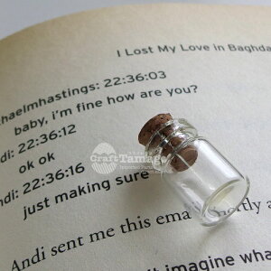 y10z ~j{g r 18*12 Bottle KXr Ɏqr t^ ӂ W RN