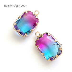 Of[VJ[ KXXg[`[ XNGA^ 15.5*11mm 2 `[ p[c  f ANZT[