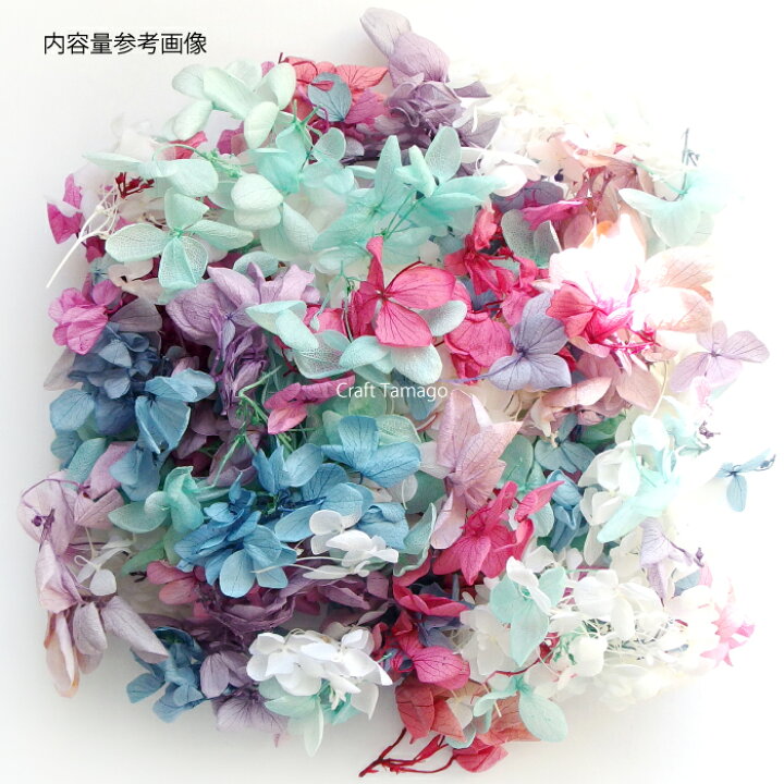 楽天市場 メール便不可 1パック ドライフラワー 紫陽花 カラーアソートパック あじさい アジサイ 花材 草花 カラフル ハーバリウム アロマワックスバー レジン Diy 封入素材 資材 アクセサリーパーツ 手作り 材料 ハンドメイド 卸 手芸 Craft Tamago クラフト