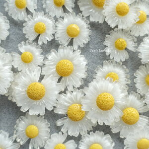 t[J{V 1}[Kbg TCYA\[g ̂zCg 50g  f ANp[c ANZT[ p[c ޗ nhCh  ≮ |