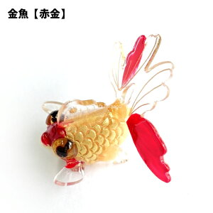 y`[z  `[  1 ANp[c 1  f ANZT[ p[c r6-rs