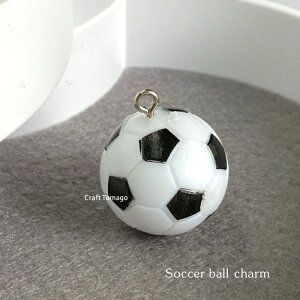 `[p[c TbJ[{[ TbJ[  X|[c 1  f ANZT[ p[c LbY r6-rs