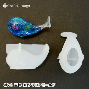VR^ [h  3D NW STCY 1 C    W^ Sy^ zG[  ~ nhCh  ANZT[p[c | r6-rs