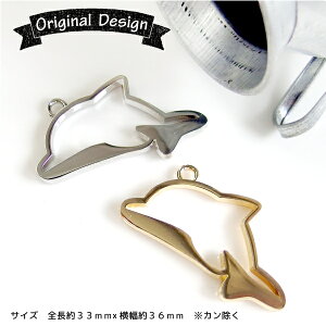 Wg g XIWi i 10 ђ˃CJ̃ZbeBO CJ C 邩 Vo[ S[h g W resin