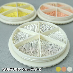 yViz ^uI TCY~bNX Iׂ3F 6TCY Wf S[h Vo[ sN P[X 1 lC fR[V Wt  f ANZT[ p[c r6-n