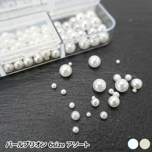 yViz p[uI Zbg Iׂ2F 6TCY Wf ^ zCg P[X 1 lC fR[V Wt  f ANZT[ p[c r6-ni