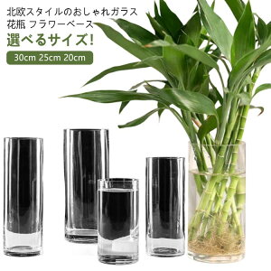 t[x[X 20cm Ԋ KXx[X ԕr KX ԕr ~ } } 30cm t[x[X Vv ~ NA KXԕr 傫  L O  k CeAG 25cm 