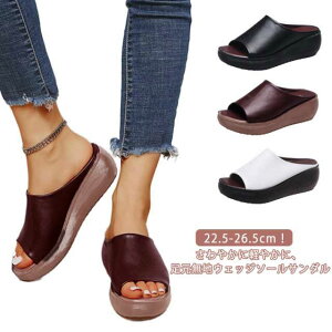 C EGbW\[ V[Y T_ T{T_ ~[T_ Xbp I[vgD  ItBX fB[X ₷  T{ T_ T}[u[c ɂ b L 