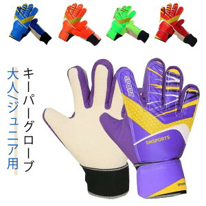 L[p[O[u TbJ[ tbgT WjA LbY qp ebNXp[ 10 S[L[p[ N Kp g[jO X^_[h ebNXp[ qǂ K p lp