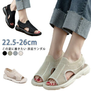 X|[cT_ fB[X y bV T_ T_ ʋC Xb| Xj[J[ r EH[LOV[Y XgbvT_ Vv JWA jp ubN 