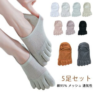 5Zbg 5{w\bNX fB[X ėp C ܖ{w  Ԃ X|[cp Ȃ EȂ Xj[J[\bNX ܖ{w\bNX  V[g    ܖ{wC J