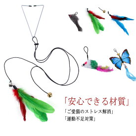 運動不足 送料無料 ペット用 福袋 おもちゃ 猫じゃらし カシャカシャ 猫おもちゃ ボールがたくさん入り ストレス解消 キャッチボー つり竿タイプ 犬