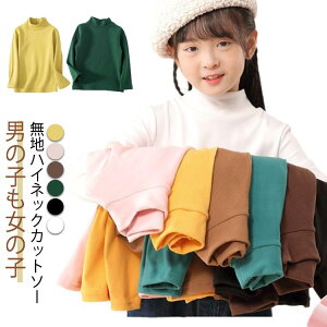 Jbg\[ TVc ^[glbN ǂ Ci[  nClbN Ci[Vc O gbvX LbY q Xg` WjA z ۉ  A_[Vc LbYp H ~p 