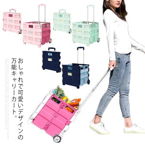 L[J[g VbsOJ[g ܂肽 J[g ӂt L[nht nhL[ RpNg ^Ct ^ gѕ֗ y  AEghA W[ 