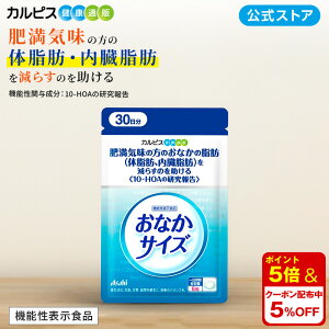 yzȂTCY y@\\Hiz_CP1563R10-HOAz JsXNʔ ATq