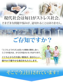 ココカラケア乳酸菌≪公式≫60粒パウチC-23ガセリ菌C23c23ガセリ菌カルピス健康通販【5000円以上送料無料】ストレスサプリメントサプリタブレット