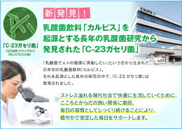 ココカラケア乳酸菌≪公式≫60粒パウチC-23ガセリ菌C23c23ガセリ菌カルピス健康通販【5000円以上送料無料】ストレスサプリメントサプリタブレット