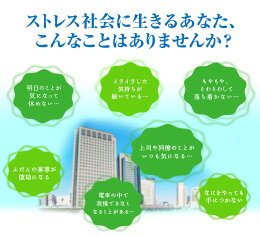 ココカラケア乳酸菌≪公式≫60粒パウチC-23ガセリ菌C23c23ガセリ菌カルピス健康通販【5000円以上送料無料】ストレスサプリメントサプリタブレット