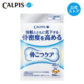 楽天市場 カルピスの通販