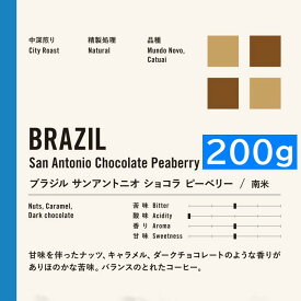 中深煎り　ブラジル サンアントニオ　 ショコラ ピーベリー 200g コーヒー豆 プレミアムコーヒー