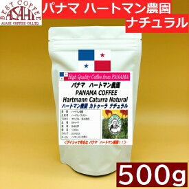 【お徳用パック500g】パナマ ハートマン農園 カトゥーラ ナチュラル 500g｜ アサヒコーヒー　自家焙煎　旭コーヒー