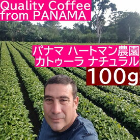 【パナマコーヒー100g】パナマ ハートマン農園 カトゥーラ ナチュラル 　100g｜ アサヒコーヒー　自家焙煎　旭コーヒー