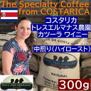 スペシャルティコーヒー　コスタリカ　トレスエルマナス農園　カツーラ ワイニー 300g |シングルオリジン　コーヒー豆