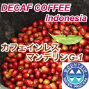 カフェインレスコーヒー デカフェ マンデリンG-1　 | ノンカフェイン 旭珈琲 旭コーヒー アサヒコーヒー