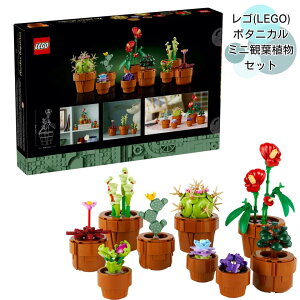 LEGO ~jϗtAZbg 10329@ ߋ a v[g ubN ̓ ̓ j  ϗtA tFCNO[ CeA IV