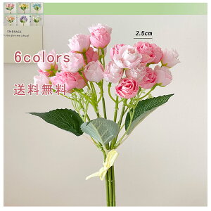 ꑩ27 o ԑ  CeAt[ t[AWg CeAG tFCNt[ G ϗtA ͂Ȃ ̓ LO Mtg v[g   fR[V