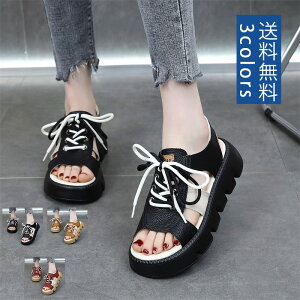 T_ fB[X y ʋC r  EFbW\[ ᔽ ɂ Sn K I ₷ JWA oR y  hL Ȃ 