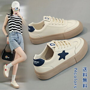 _}\N[|^Xj[J[ fB[Y  V[Y  pI t@bV r ɂȂ Sn ʋC _  zCg 킢 AEghA ItBX