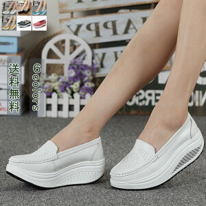 _ubNtCf[N[|^ꕔ[ Xj[J[  ɂ y JWA t  H pI t@bV r ɂȂ Sn ʋC _  zCg 