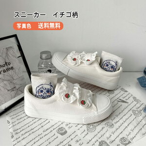 _ubNtCf[N[|^Xj[J[ fB[X tbgV[Y?t C`S }WbNe[v JWA ɂ ₷ ₷ r t  