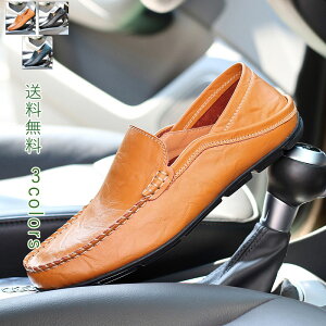 _}\N[|^JV vC Y V[Y amC rWlXV[Y tH[}  rWlX l ʋC Ȃ y EH[LO AEghA 傫TCY JW