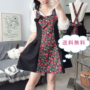 _ubNtCf[N[|^Gv s[X GKg  i fB[X NXR ԕ { Ȃ O |Pbg B ۈm H Ɩp JtF Lb` 