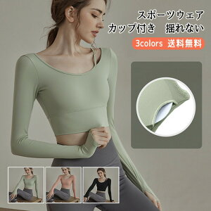 _ubNtCf[N[|^X|[cEFA fB[X KEFA n  Lk K Jbvt hȂ gbvX  z W[W ^ ꂢ  