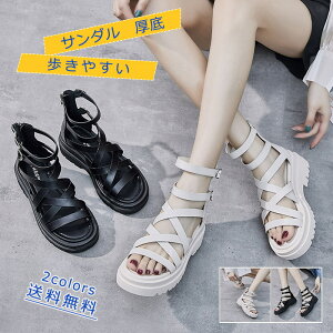 _tf[P10{1000~OFFN[|IXj[J[T_ fB[X  ₷ Xgbv EFbW\[ JWAV[Y ؂񂱌C  ɂȂ  r ꂢ 