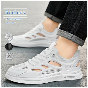 _ubNtCf[N[|^Xj[J[ Y Xb| [XAbv bV  [Jbg tbgV[Y ʋC y 傫TCY(cm) JWA  ₷