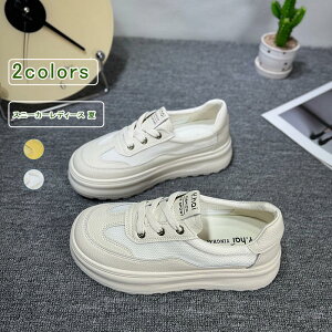 Xj[J[ fB[X bV [XAbv [Jbg  V[Y Xb| X|[c r ʋC ₷ Ȃ Vv y ʋ ʊw F ItzCg  