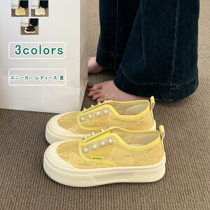 _ubNtCf[N[|^Xj[J[ fB[X LpX {^ bV ԕ JWA V[Y Xj[J[ ʋC ₷ Ȃ Vv y ʋ ʊw Itz