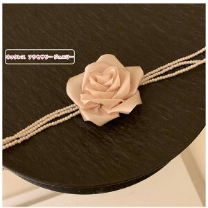 _ubNtCf[N[|^lbNX fB[X `[J[ p[ o ANZT[ WG[  ؂₩ w Ǝ  Mtg   