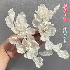  fB[X wAs wAoh  Zbg wbhANZT[ wAANZT[ wbhhX 񂴂 hCt[  l Ǝ w 񎟉 EGfB