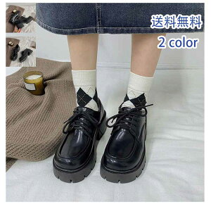 _ubNtCf[N[|^łC fB[X [t@[ pvX R [q[ JWA r ₷ Ȃ ʋΒʊw ꂢ  